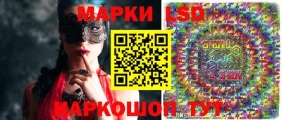 альфа пвп Новодвинск