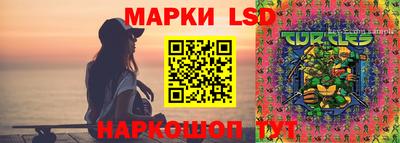 альфа пвп Новодвинск