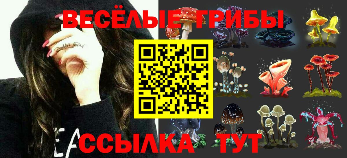 купить   Галлюциногенные грибы MAGIC MUSHROOMS  Вход с VPN  Улан-Удэ 